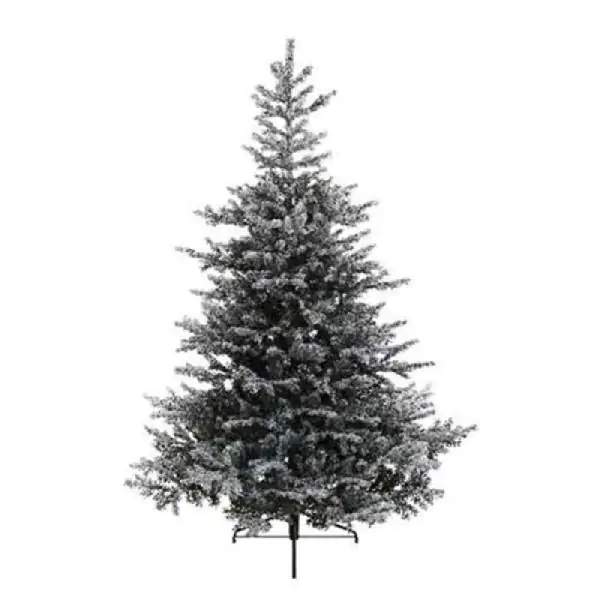 Novogodišnja jelka Grandis fir snowy 120cm-91cm Everlands