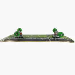 WINMAX Skateboard zeleni